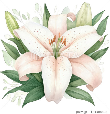 Beautiful watercolor illustration of a white lily surrounded by green leaves and buds in a serene composition 124308828