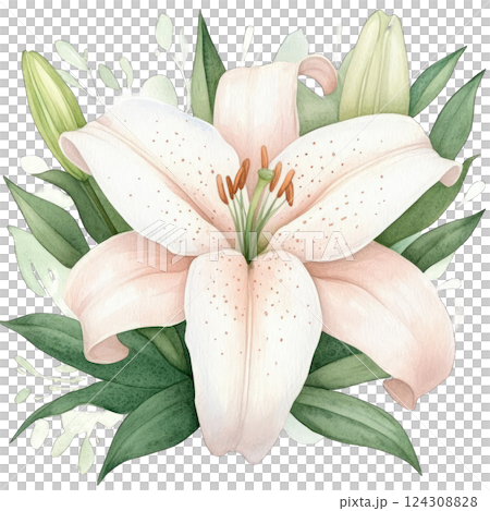 Beautiful watercolor illustration of a white lily surrounded by green leaves and buds in a serene composition 124308828