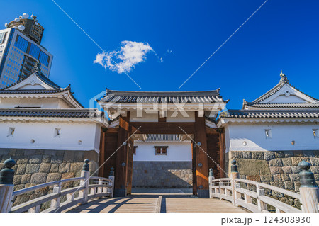 静岡市にある秋の駿府城公園の東御門と静岡県庁別館の風景(静岡県) 静岡市にある秋の駿府城公園の東御門と静岡県庁別館の風景(静岡県) 124308930