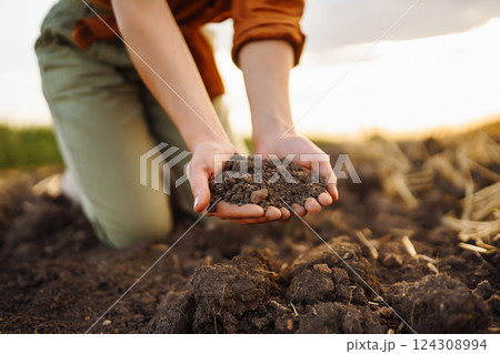 Expert hand of farmer woman checking soil health before growth seed of vegetable. Gardening concept. 124308994