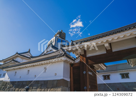 静岡市にある秋の駿府城公園の東御門と静岡県庁別館の風景(静岡県) 静岡市にある秋の駿府城公園の東御門と静岡県庁別館の風景(静岡県) 124309072