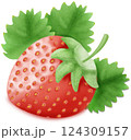 Strawberry drawing 124309157
