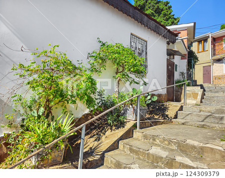 staircase with plants along the white wall 124309379