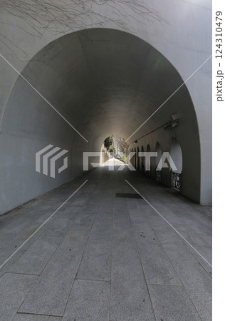 聖橋から見る湯島聖堂の築地塀と昌平坂 124310479