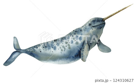 Narwhal whale swimming, marine mammal, ocean wildlife peaceful creature, blue water, nature illustration watercolor art 124310627