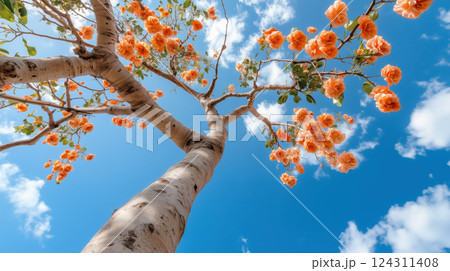 tall tree with orange flowers and lush branches under bright blue sky 124311408