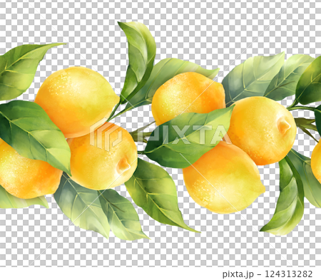 Hand-drawn pattern, seamless fruit border of lemons and leaves. Hand-drawn pattern, seamless fruit border of lemons and leaves. 124313282