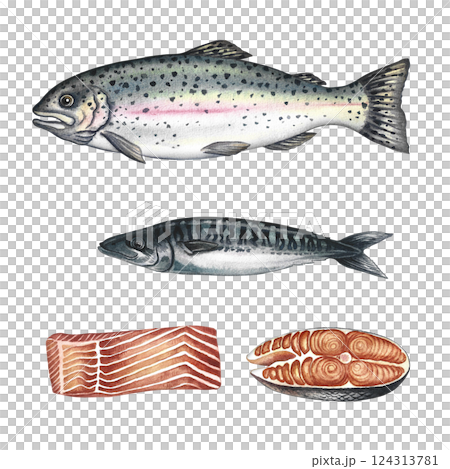 A set with fish, trout, mackerel and pieces of fish. A hand-drawn watercolor illustration. Color image of seafood. Separate from the background. For menus, recipe books, packages, labels, invitations. 124313781