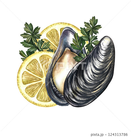 Mussels with lemon and herbs. Handmade watercolor illustration. A color image of an exquisite seafood dish. Suitable for menus, recipe books, packages, labels, banners and flyers. Mussels with lemon and herbs. Handmade watercolor illustration. A color image of an exquisite seafood dish. Suitable for menus, recipe books, packages, labels, banners and flyers. 124313786