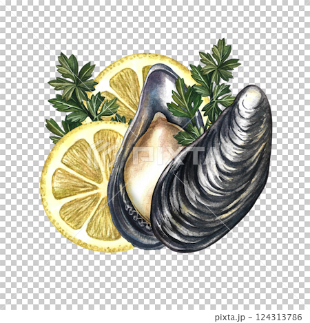 Mussels with lemon and herbs. Handmade watercolor illustration. A color image of an exquisite seafood dish. Suitable for menus, recipe books, packages, labels, banners and flyers. Mussels with lemon and herbs. Handmade watercolor illustration. A color image of an exquisite seafood dish. Suitable for menus, recipe books, packages, labels, banners and flyers. 124313786