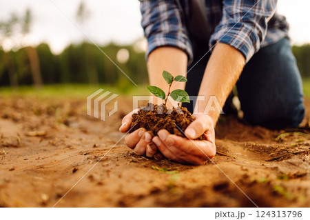 Man in a shirt holds a green plant in his hands. Caring for the environment. Man in a shirt holds a green plant in his hands. Caring for the environment. 124313796