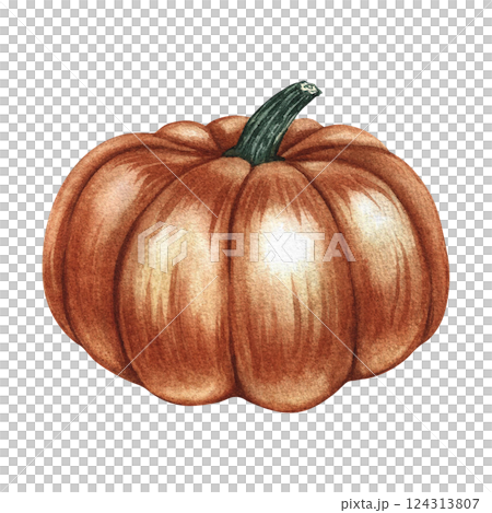 The pumpkin is orange. Handmade watercolor illustration. A color image of an autumn fruit. The isolate. Great for postcards, banners and flyers, posters, labels and prints. 124313807