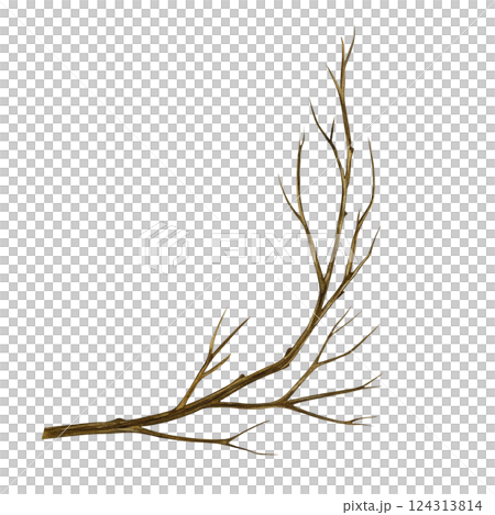 A bare tree branch. Handmade watercolor illustration. a color image of a natural element. The isolate. For postcards, prints, banners and posters. A bare tree branch. Handmade watercolor illustration. a color image of a natural element. The isolate. For postcards, prints, banners and posters. 124313814