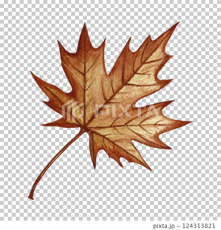 Autumn maple leaf. Handmade watercolor illustration. Color image of the autumn element. The isolate. Great for postcards, banners and flyers, posters, stickers and prints. 124313821