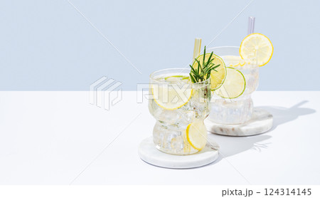 Two glasses fresh lemonade with lemon, lime, rosemary and ice. Citrus cocktail mojito Two glasses fresh lemonade with lemon, lime, rosemary and ice. Citrus cocktail mojito 124314145