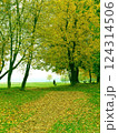 A woman walking a dog in a park near a river. Autumn fall background 124314506