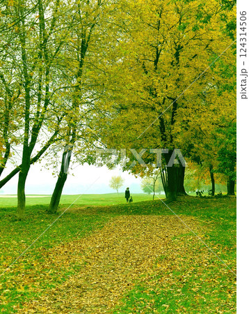 A woman walking a dog in a park near a river. Autumn fall background 124314506