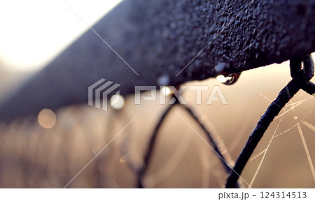 Early summer morning, dew and spider webs on a fence. Sunrise wallpaper background Early summer morning, dew and spider webs on a fence. Sunrise wallpaper background 124314513