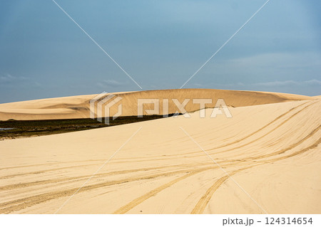 Dunes and lagoons of Atins, Lencois Maranhenses, Barreirinhas, Brazil. White sand dunes with pools of fresh water 124314654