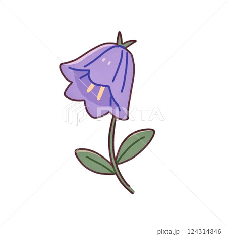 シンプルなカンパニュラのイラスト、アイコン、素材、背景なし、花 124314846