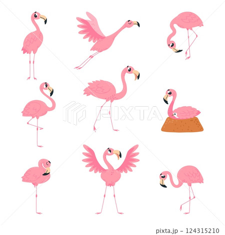 Cartoon flamingo. Pink flamingos birds, isolated tropical animals characters in different poses. Funny bird flying, sit in nest, sleep, classy vector set Cartoon flamingo. Pink flamingos birds, isolated tropical animals characters in different poses. Funny bird flying, sit in nest, sleep, classy vector set 124315210