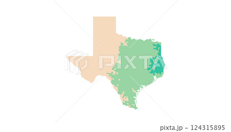 Texas state silhouette 124315895