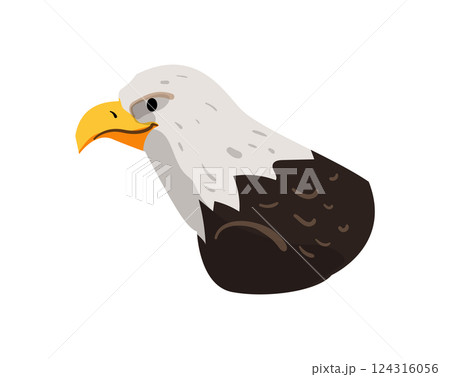 Bald Eagle 124316056