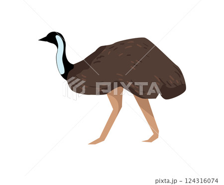 Emu Bird Emu Bird 124316074