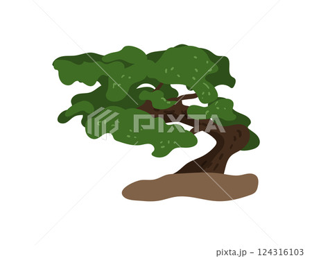 Green Bonsai Tree 124316103