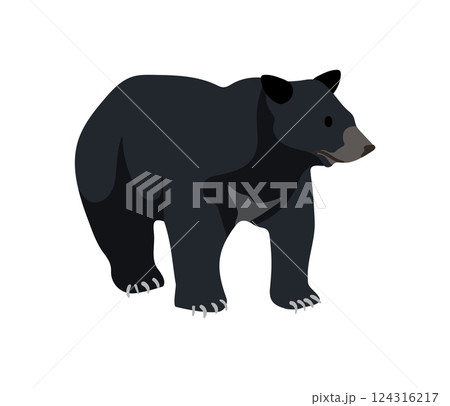 Black Bear Black Bear 124316217