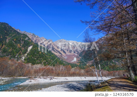 晩秋の穂高連峰とカラマツの黄葉のコラボ情景 晩秋の穂高連峰とカラマツの黄葉のコラボ情景 124316570