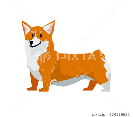 Pembroke Welsh Corgi Dog 124316622
