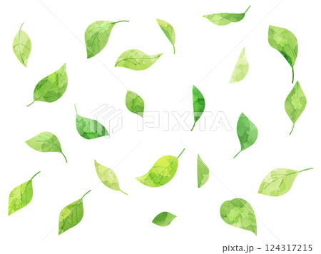 緑の葉が舞う動きのあるイラスト　水彩風加工バージョン 124317215