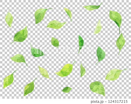 緑の葉が舞う動きのあるイラスト　水彩風加工バージョン 124317215