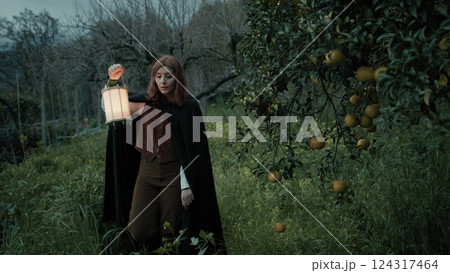 Mystery Of A Woman Walking Among Orchard Trees In Woods At Night With Lantern 124317464