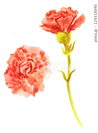 カーネーション　水彩素材 124318040