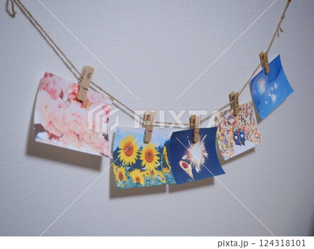 私の春夏秋冬 私の春夏秋冬 124318101