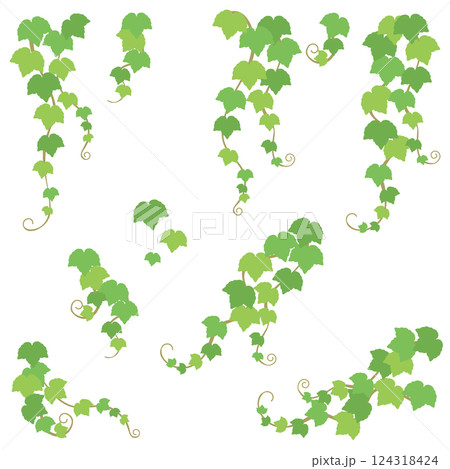 ツタの葉のベクターイラストセット ツタの葉のベクターイラストセット 124318424