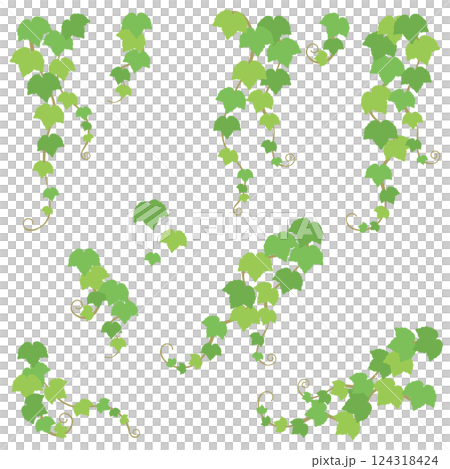 ツタの葉のベクターイラストセット ツタの葉のベクターイラストセット 124318424