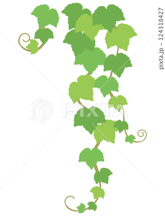 右上を飾るためのツタの葉のベクターイラスト 右上を飾るためのツタの葉のベクターイラスト 124318427