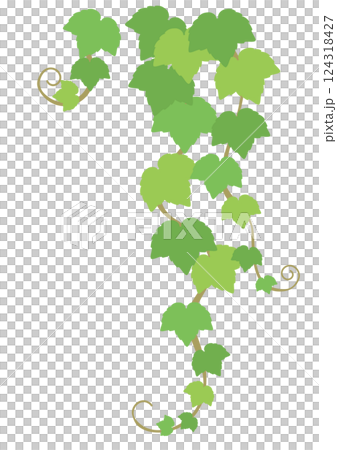 右上を飾るためのツタの葉のベクターイラスト 右上を飾るためのツタの葉のベクターイラスト 124318427