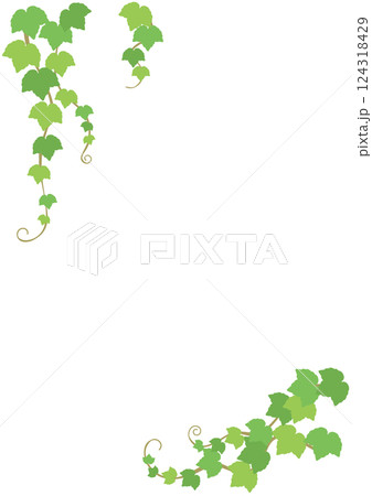 左上と右下を飾るためのツタの葉のベクターイラスト 124318429