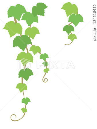 左上を飾るためのツタの葉のベクターイラスト 124318430