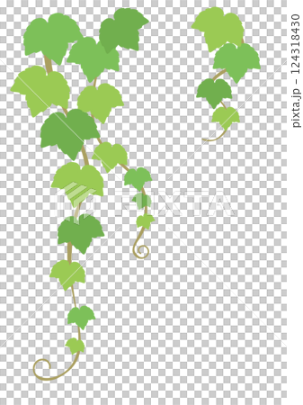 左上を飾るためのツタの葉のベクターイラスト 124318430