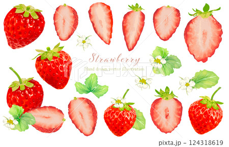水彩で描いたいちごのイラスト素材 水彩で描いたいちごのイラスト素材 124318619