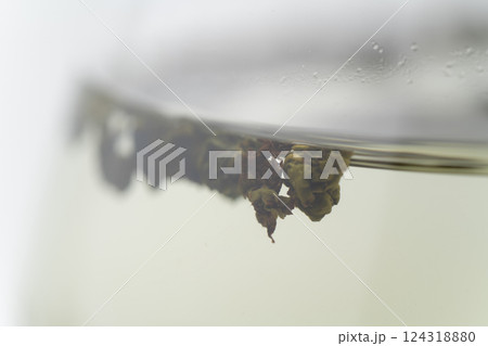 抽出中の凍頂烏龍茶の茶葉のクローズアップ 124318880