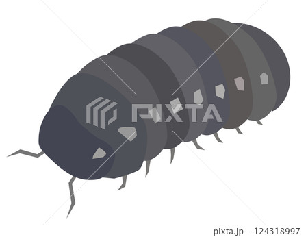 ダンゴムシ 124318997