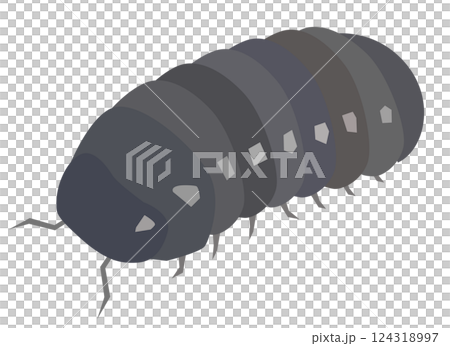 ダンゴムシ 124318997