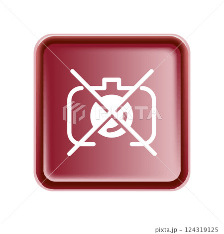 Camera icon design template 124319125