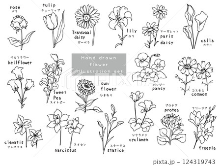 手描きのかわいいお花セット 124319743
